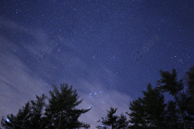 大的 - 北斗七星 - 叶子 - 夜 - 在户外 - 夜晚 - 天空