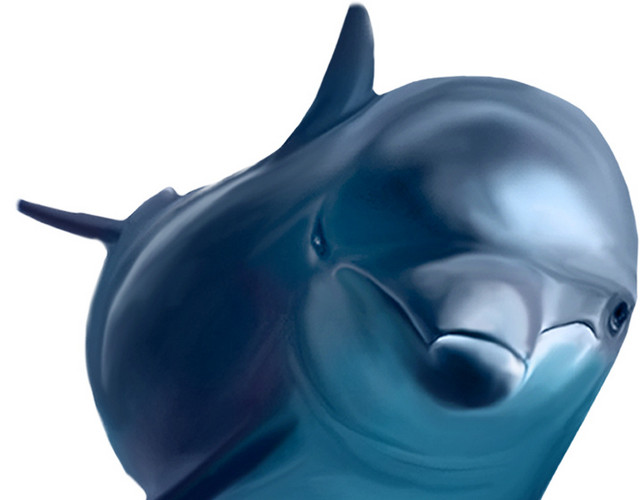 海豚