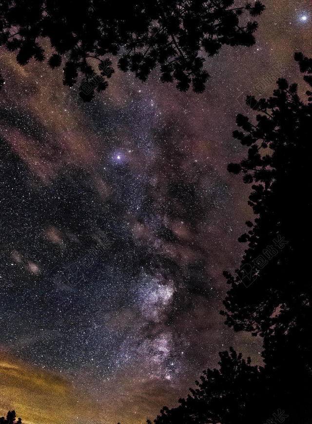 夜晚自然景观星海星空森林背景图片