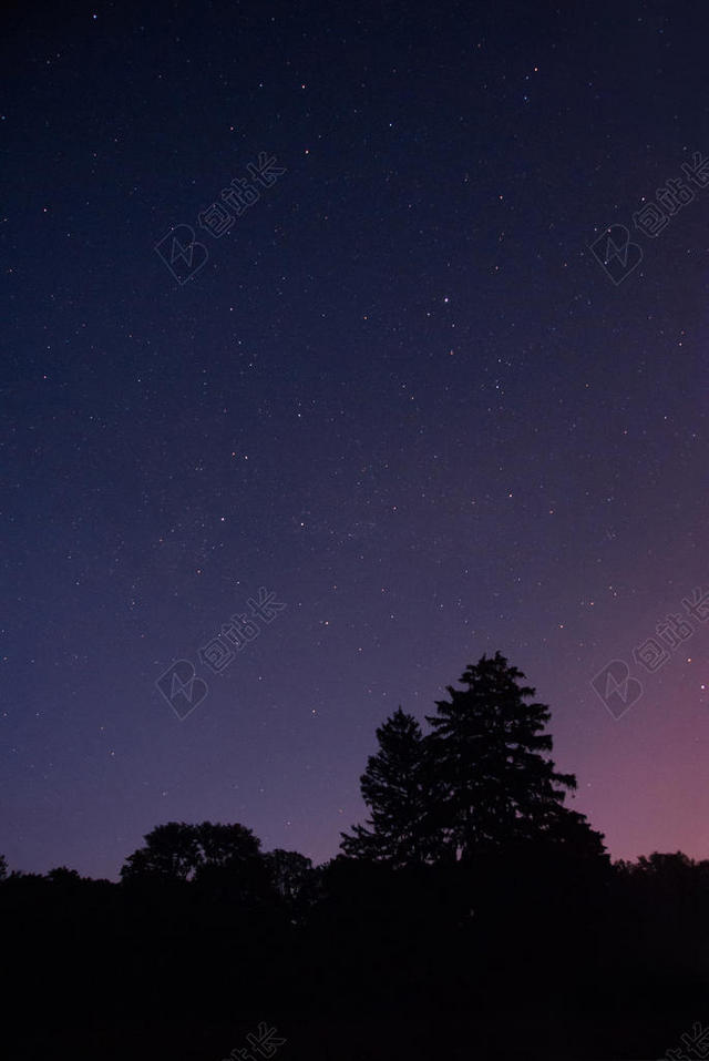 黑色自然星空夜幕下繁星闪烁下的树林自然星空背景图片