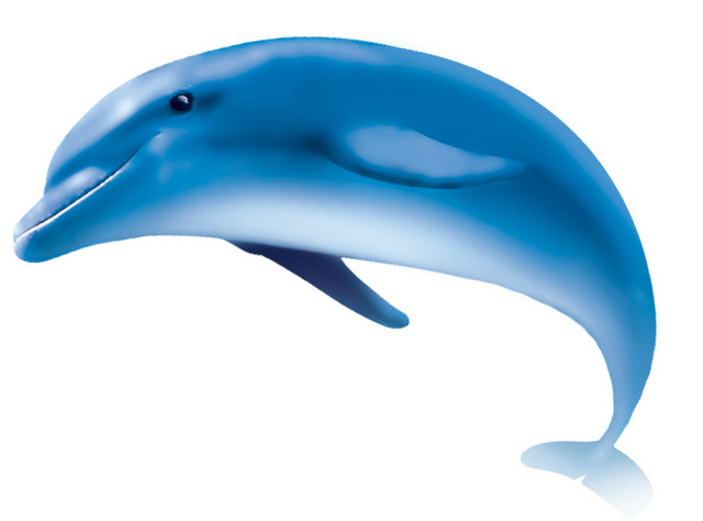 海豚