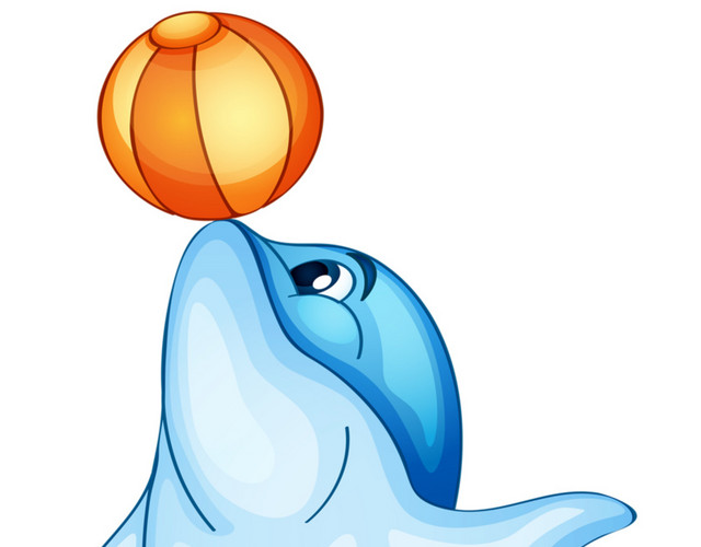 顶球的海豚