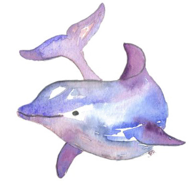海豚