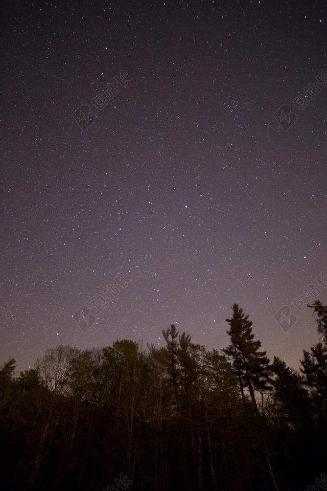 黑色夜晚繁星星海丛林背景图片