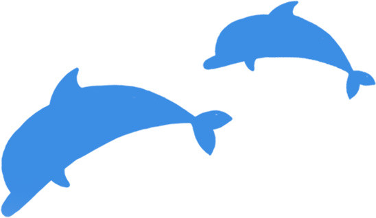 海豚剪影