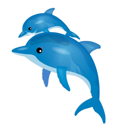 海豚母子
