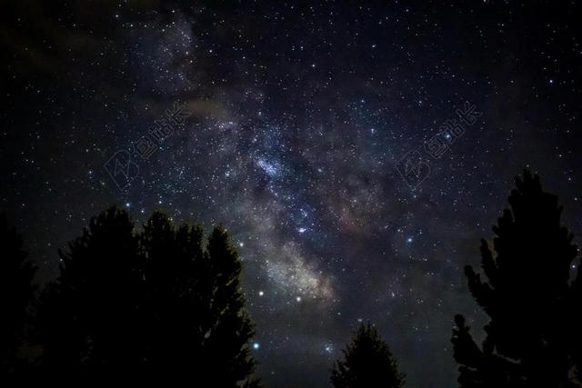 黑色自然景观植物星海旅游度假背景图片