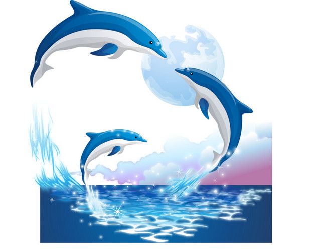 游玩的海豚波浪海洋素材