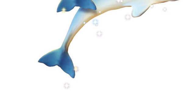 海豚