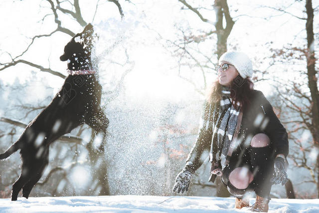 彩色生物和谐女孩和小狗正在玩雪自然人物动物背景图片