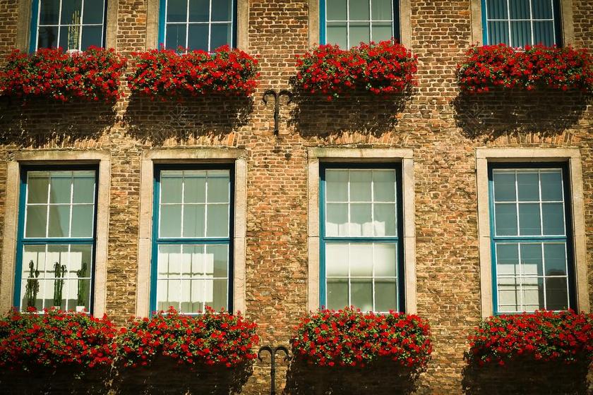 旅游自然居民房城市背景图片