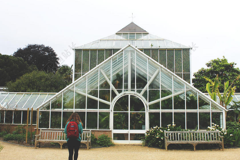 农业自然女人进植物馆宣传背景图片