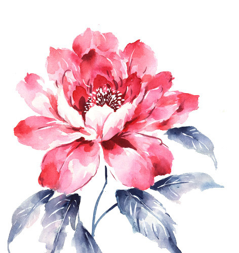 水彩风粉色鲜花设计元素