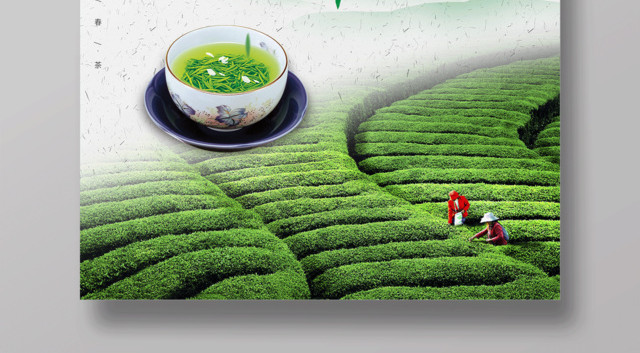 茶叶春茶宣传促销新茶上市香气怡人促销海报