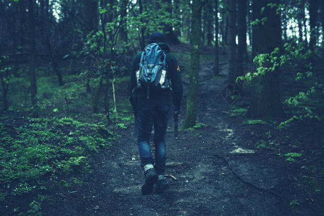 森林 - 徒步旅行者 - 徒步旅行 - 男人 - 人 - 森林
