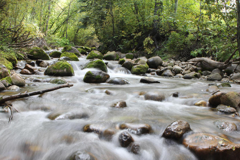 小溪 - 森林 - 自然 - 河 - 岩石 - 森林