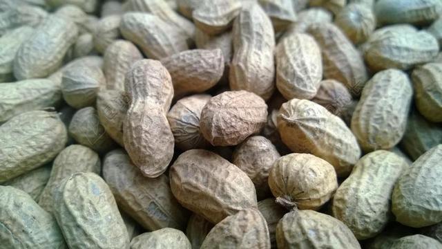 食物坚果简约花生特写背景图片
