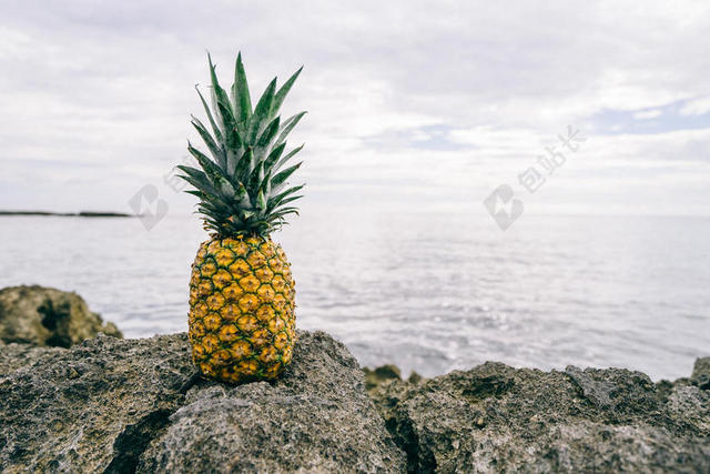户外海边自然风景水果菠萝广告背景图片