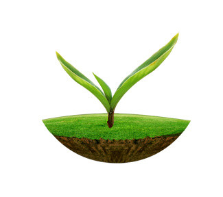 环保绿色植物素材