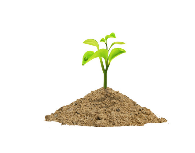 环保绿色植物素材
