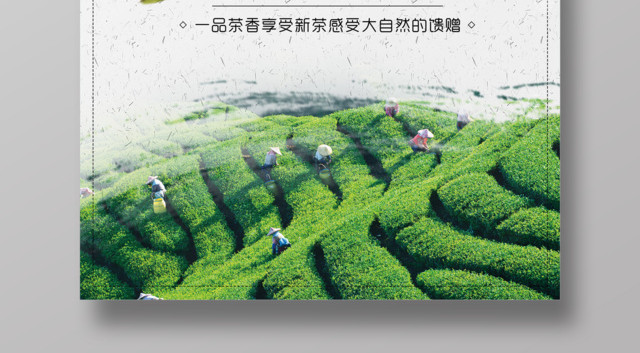 春茶宣传促销春茶新品上市欢迎品尝茶叶海报