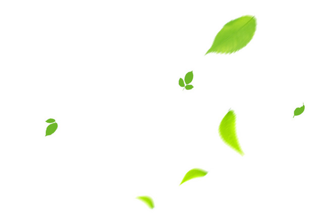 环保绿色植物绿叶素材
