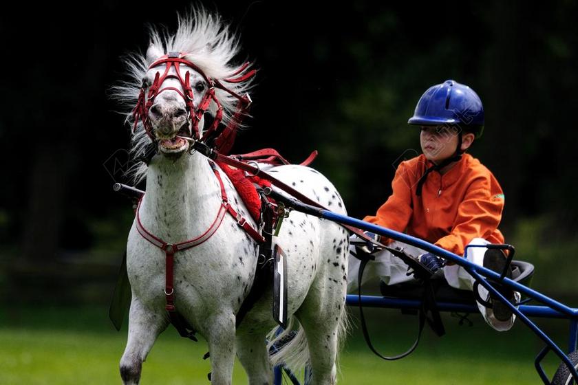运动时尚骑马的小孩背景图片