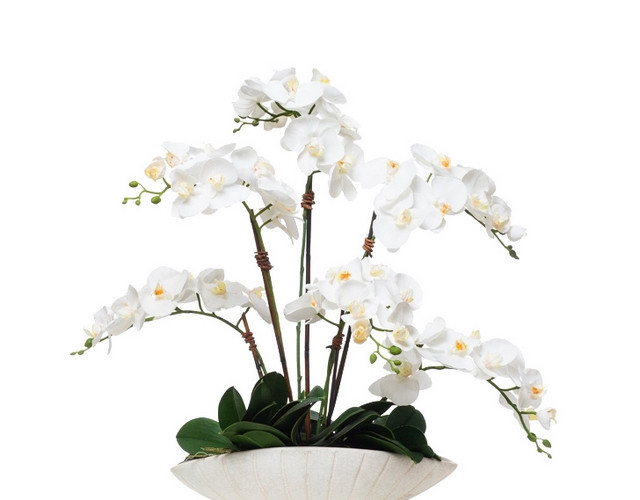 植物鲜花绿植盆栽矢量图片