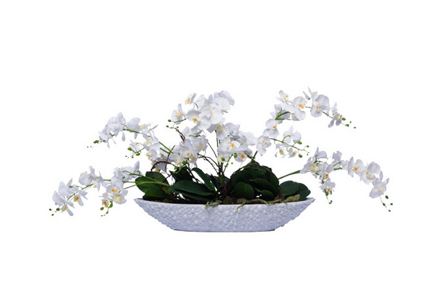 植物鲜花绿植盆栽矢量图片