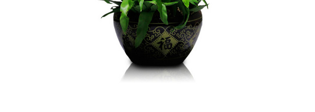 植物鲜花绿植盆栽矢量图片