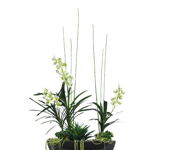 植物绿植盆栽矢量图片
