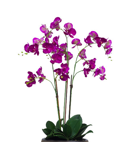 植物鲜花绿植盆栽矢量图片