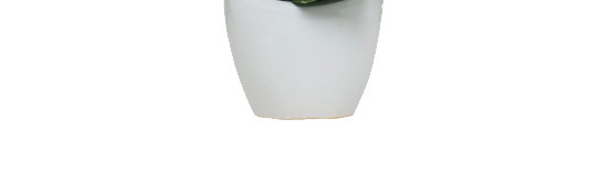 植物鲜花绿植盆栽矢量图片