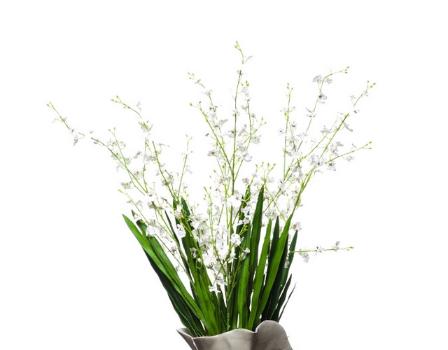 鲜花绿植盆栽矢量图片