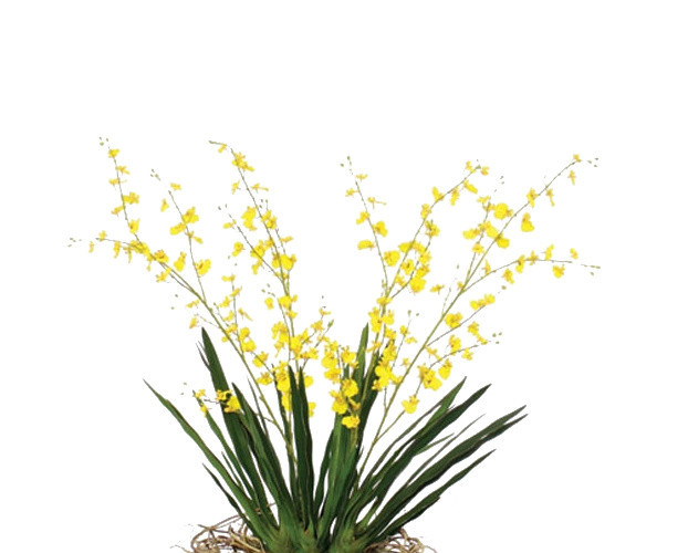 植物鲜花绿植盆栽矢量图片