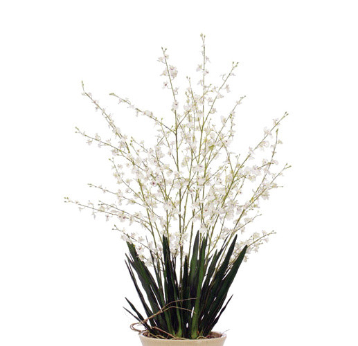 鲜花绿植盆栽矢量图片