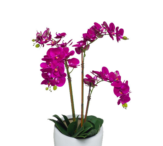 植物鲜花绿植盆栽矢量图片