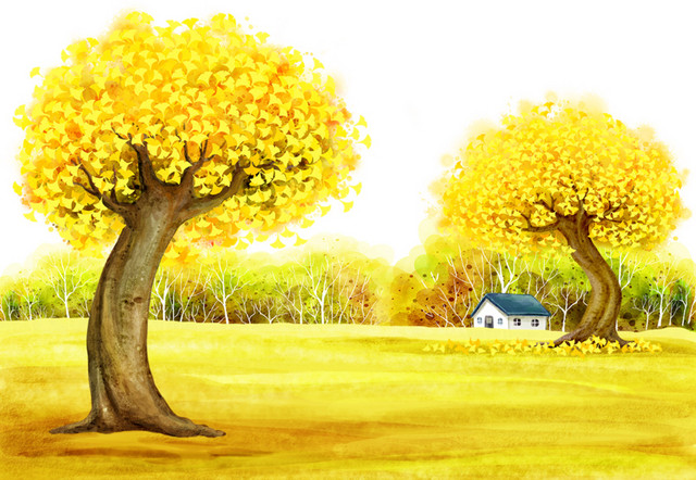银杏树风景画素材