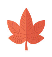 卡通手绘红色枫叶素材