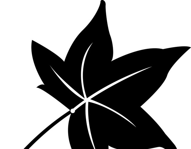 黑色矢量枫叶