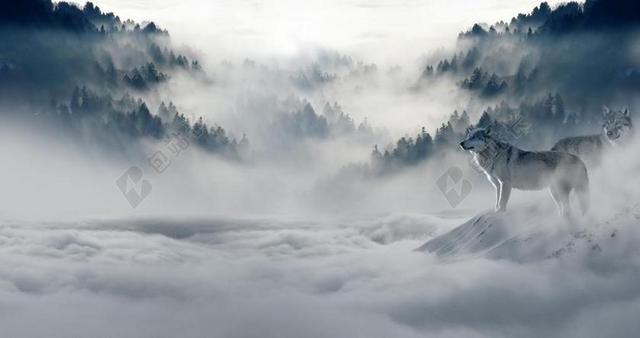 雾 - 雾 - 朦胧 - 薄雾 - 朦胧 - 山