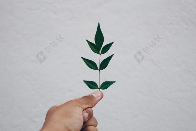 广告清新手持绿色植物背景图片