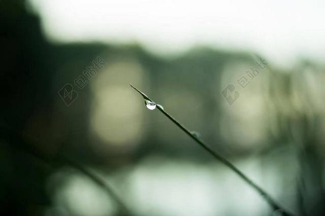 绿色自然模糊雨滴背景音乐
