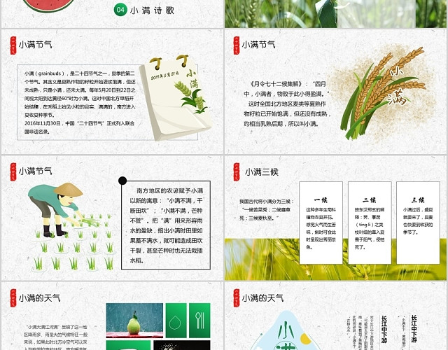 绿色小清新中国传统二十四节气小满PPT
