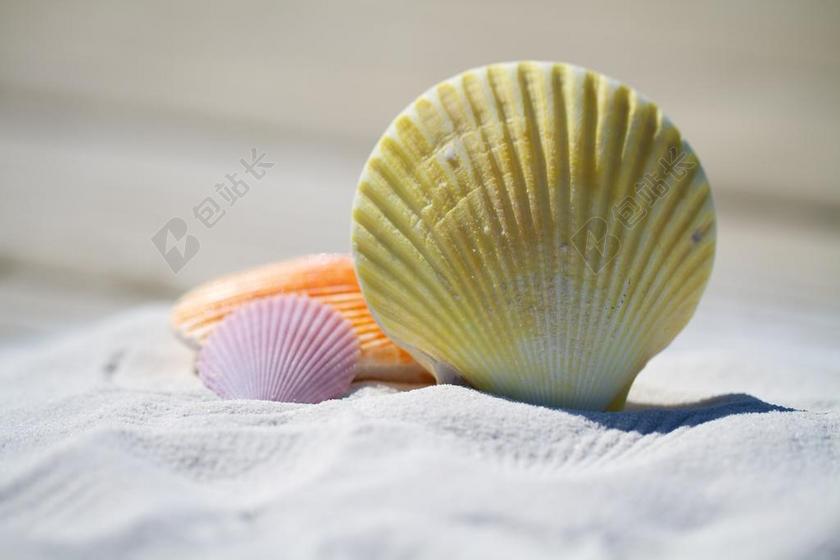 海滩 - 自然 - 沙 - 海滨 - 海滨 - 沙滩