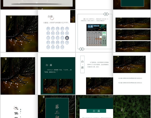 暗绿色中国风植物露水背景二十四节气之白露节气主题PPT模板