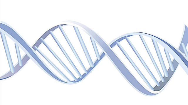 商务科技线条立体曲线DNA