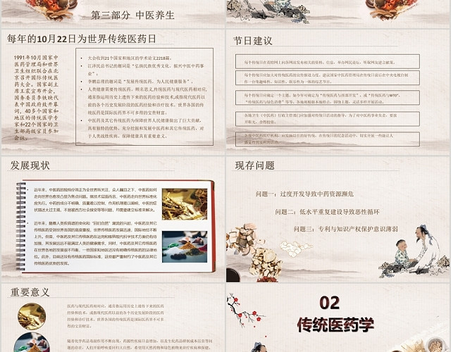 暖棕色中国风世界传统医药日介绍PPT模板