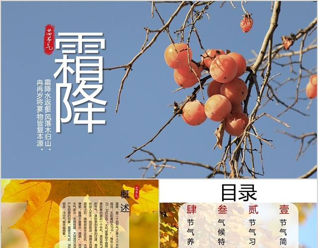 蓝色风景清新文艺风格二十四节气之霜降节气介绍PPT模板