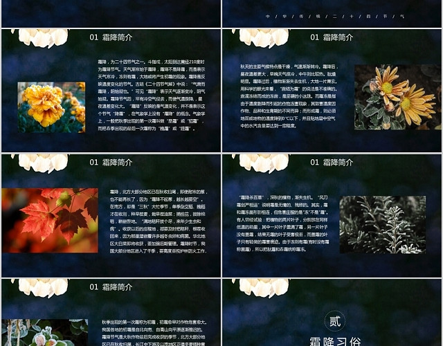 蓝色中国传统二十四节气霜降节气介绍PPT模板